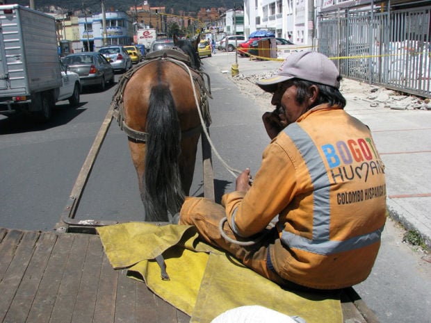 Bogota takes stride to get horse-drawn carts off city streets    