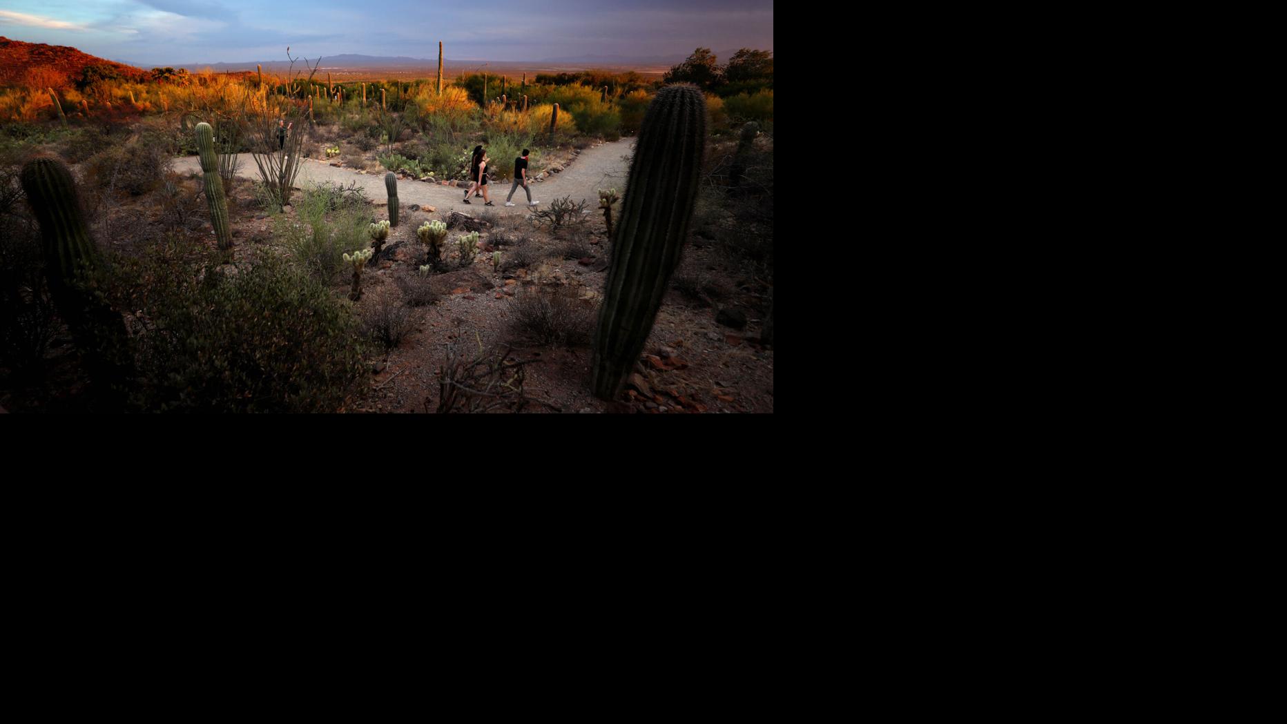 50 fun events happening in Tucson this weekend March 20-23