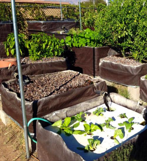 Aquaponics system
