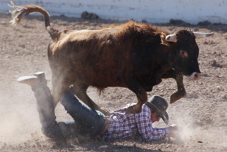 2016 Tucson Rodeo