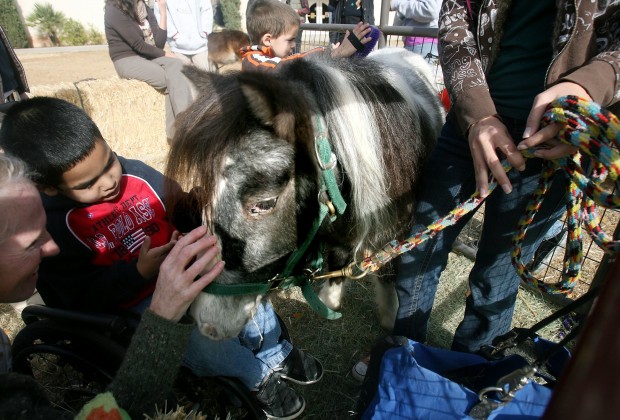 Kids forge bonds with animals  