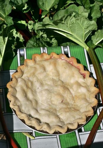 Tart, tangy rhubarb   