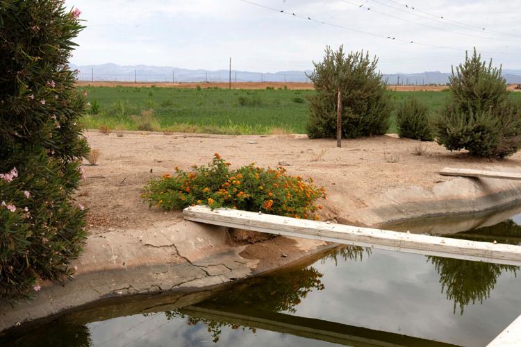 Jace Miller, a Pinal County, Arizona farmer affected by Colorado River cuts