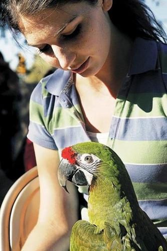 Bless the beasts — all of them  