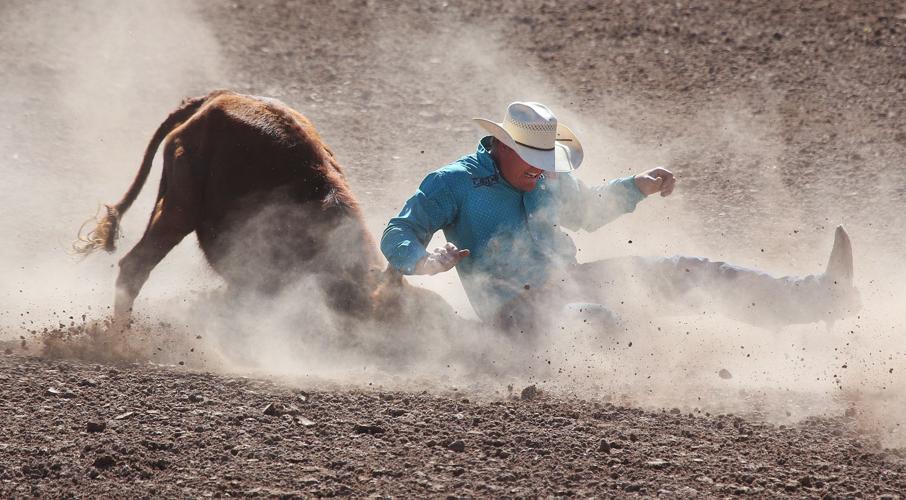 2016 Tucson Rodeo