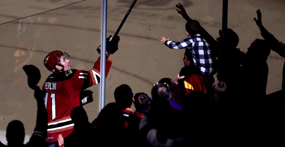 Tucson Roadrunners vs Manitoba Moose