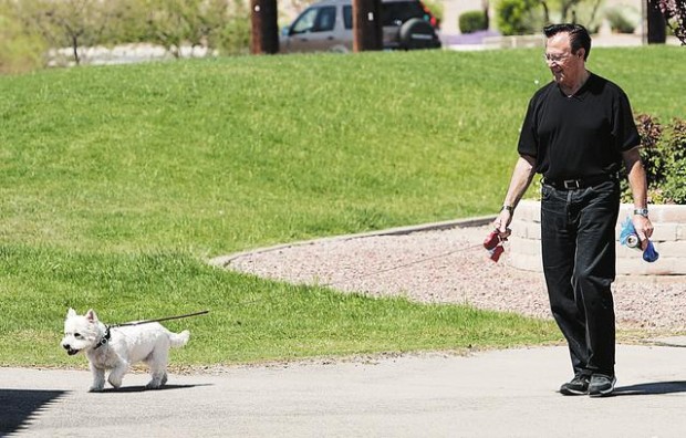 Marana set to put some teeth in its animal-control ordinance  