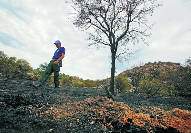 When fire is a benefit  
