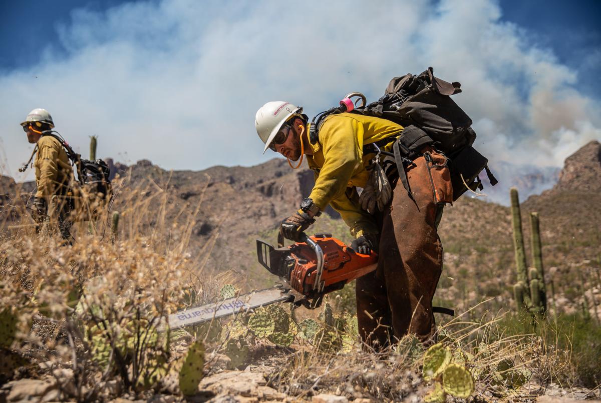 Bighorn Fire