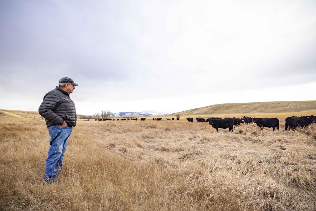 Is John Dutton real? Meet the powerful rancher seemingly inspiring the 'Yellowstone' legend