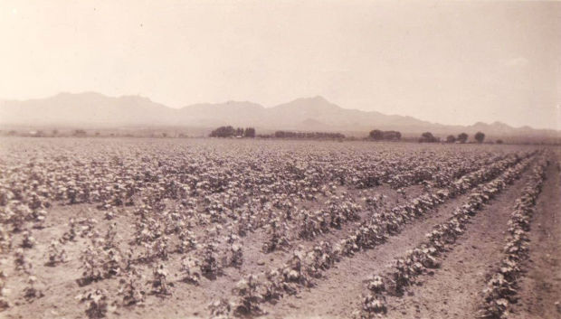 Street Smarts: Shannon Road