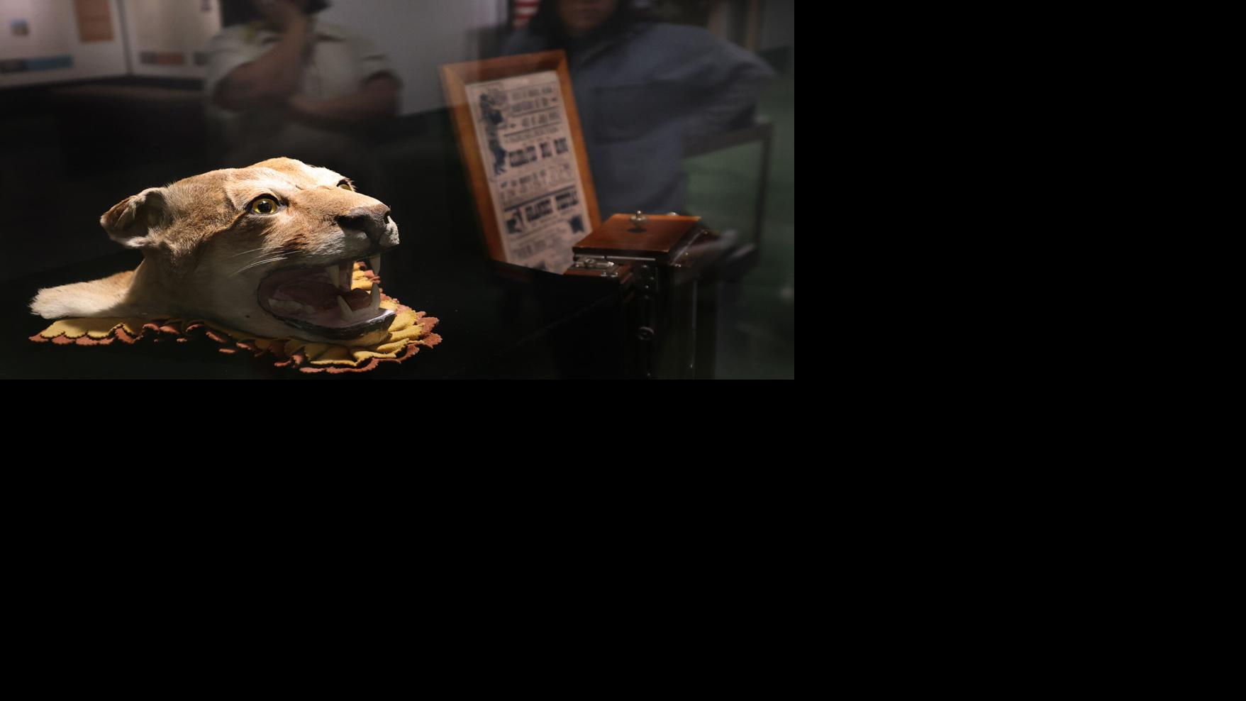 New exhibit showcases rich Arizona history