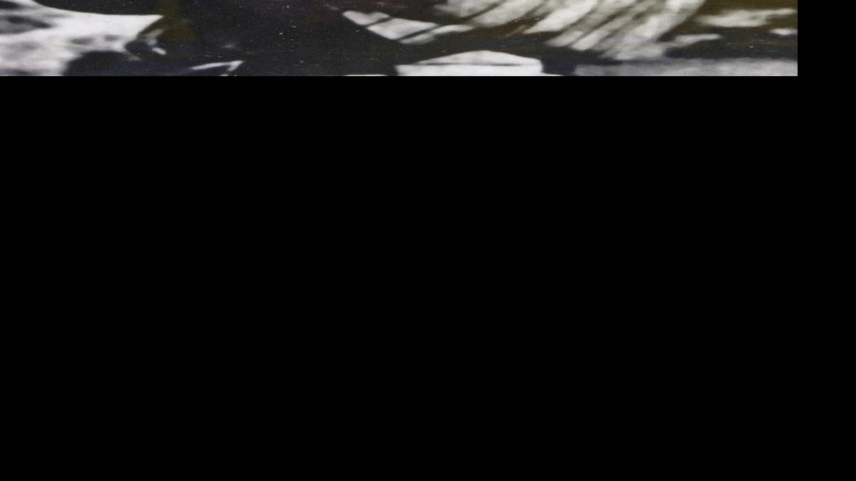 3. Hank Leiber, Phoenix Union High School