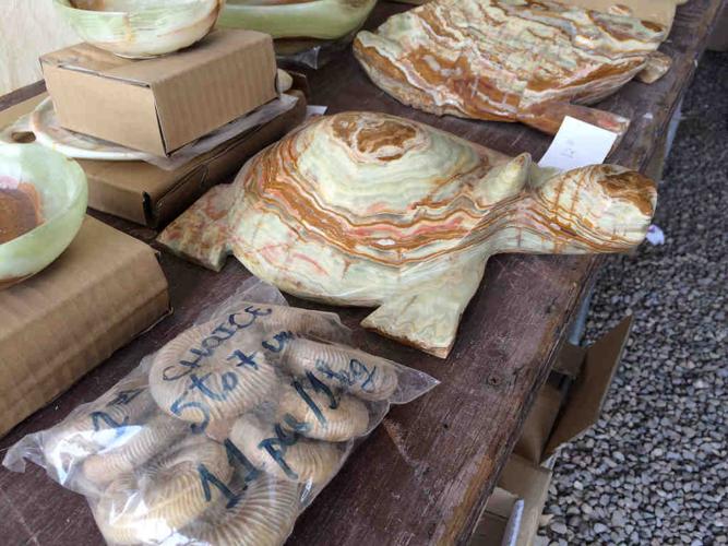 Animals of the Gem Show