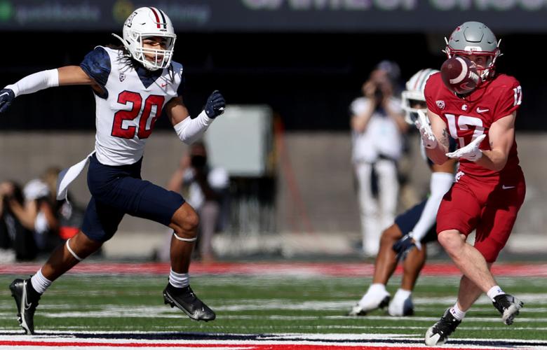 University of Arizona vs Washington State