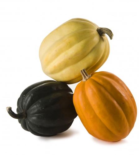 Squash those misconceptions   