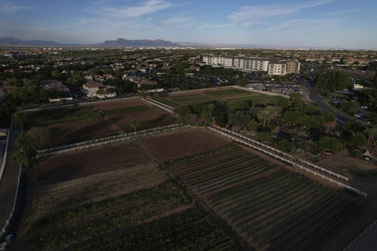 Arizona's Agritopia: A bit of farm and suburbia