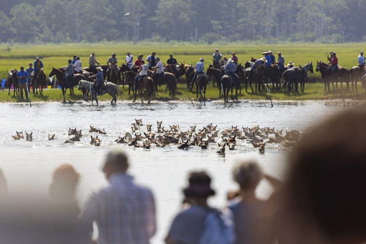 Chincoteague Pony Swim