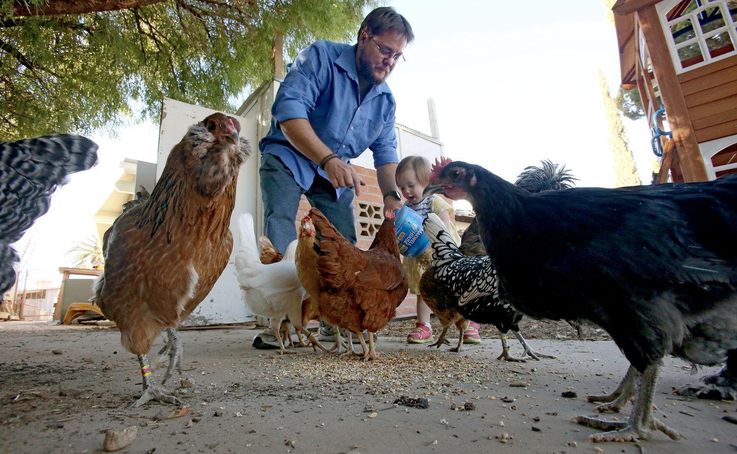 Council approves rules for backyard chickens and gardens