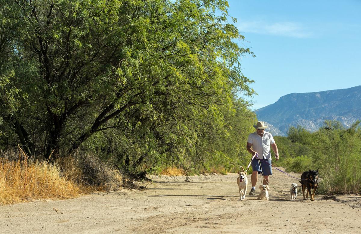 New Oro Valley Trail Aims At Hikers Cyclists Horses Local News Tucson Com
