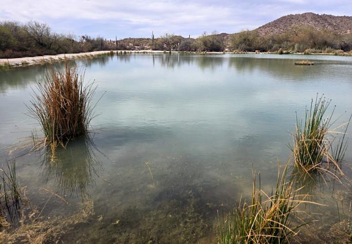 Second wall planned across Arizona as Trump administration doubles down on border