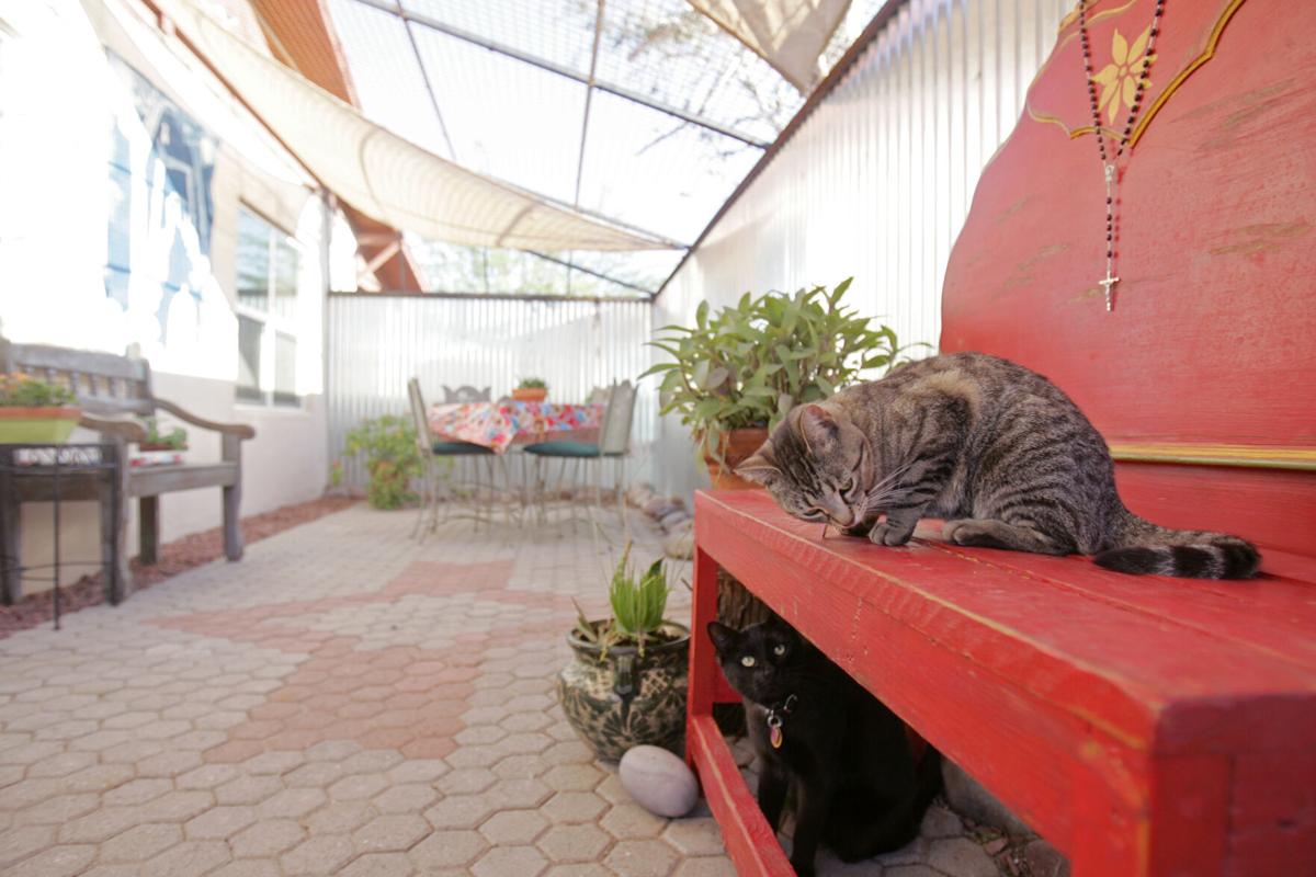 Catio