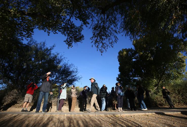 Tucson Audubon Society July 17