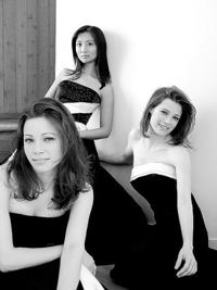 Trio performs subtle works with mastery  
