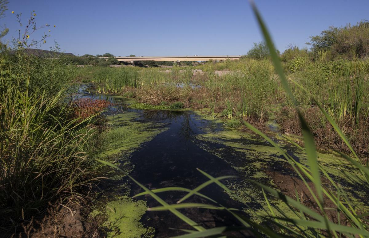 Santa Cruz River