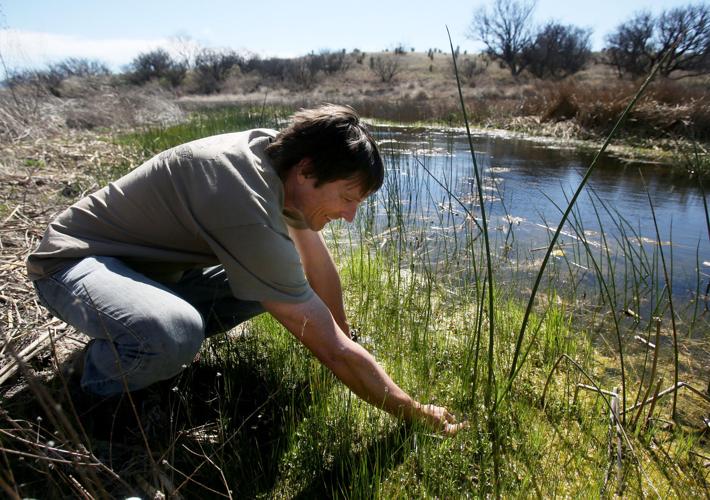 Las Cienegas National Conservation Area