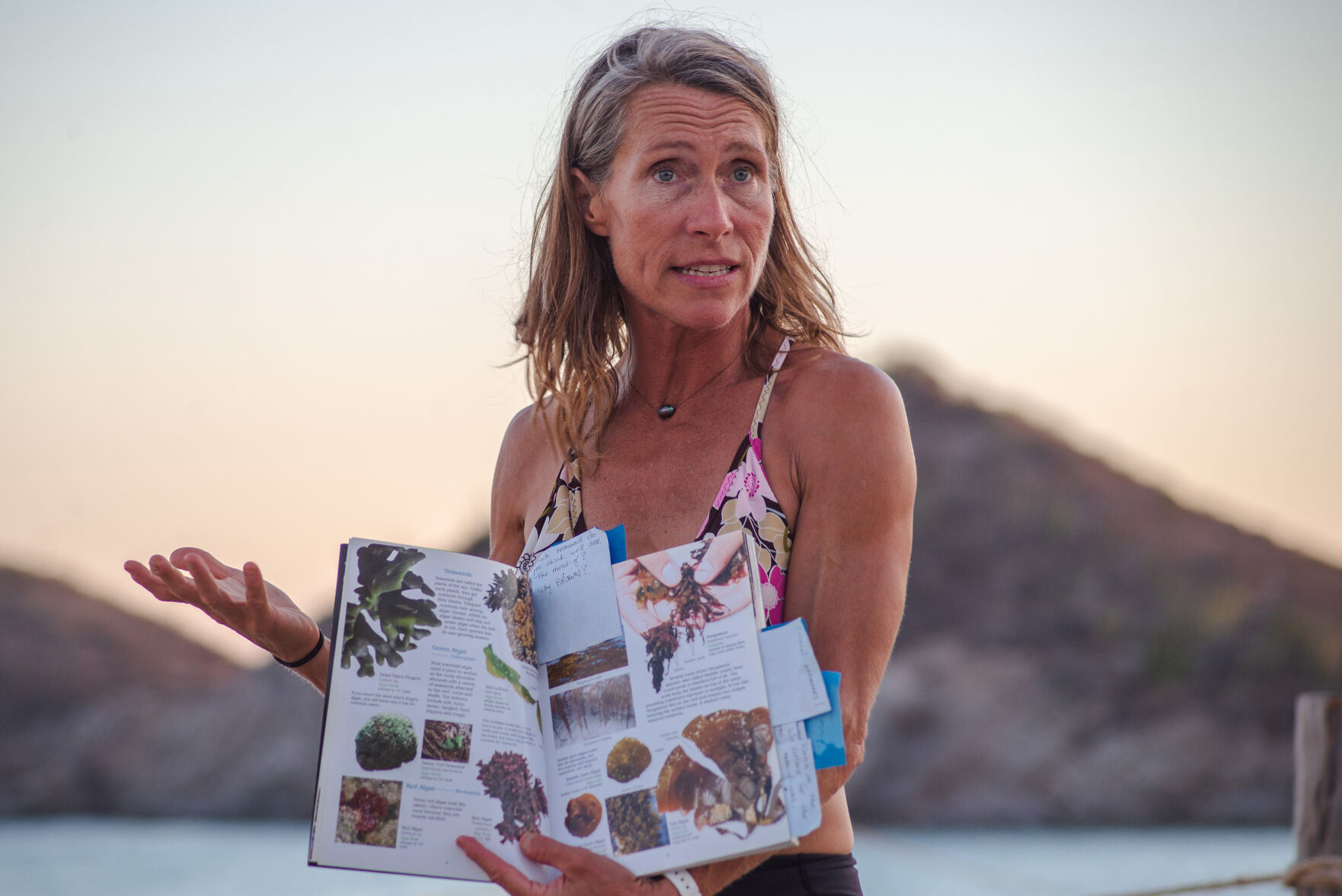 Night diving, San Carlos, Mex.