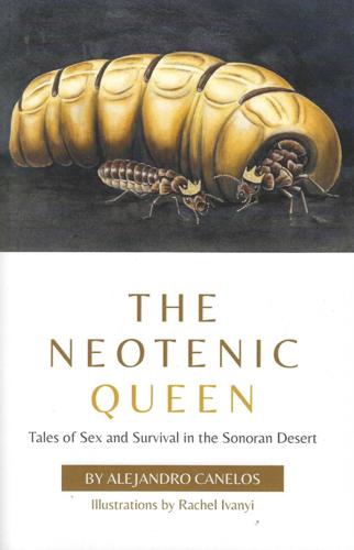 The Neotenic Queen: Tales of Sex and Survival in the Sonoran Desert