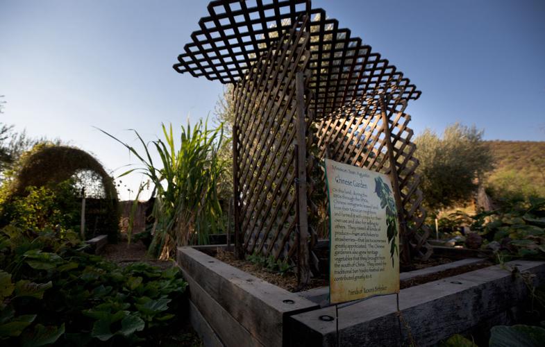 Mission Garden