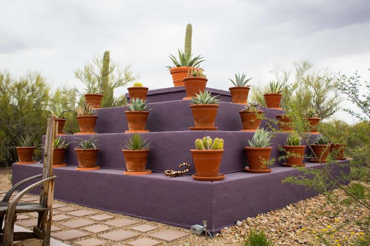 Cat Mountain Lodge and Roadside Inn