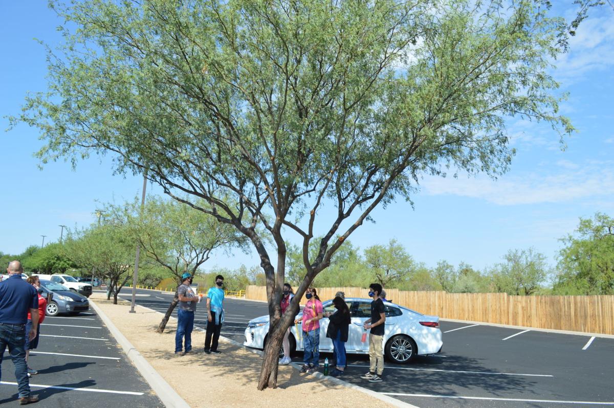 Being smarter in 2020: Volunteers learn about trees as they count