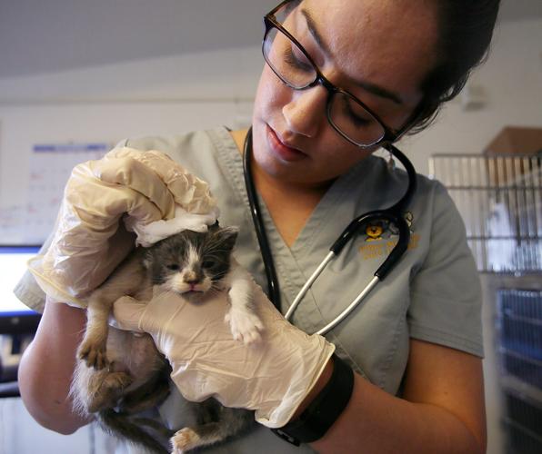 Pima Animal Care Center