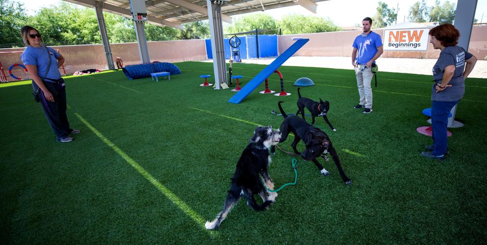 Humane Society Canine Behavior Team