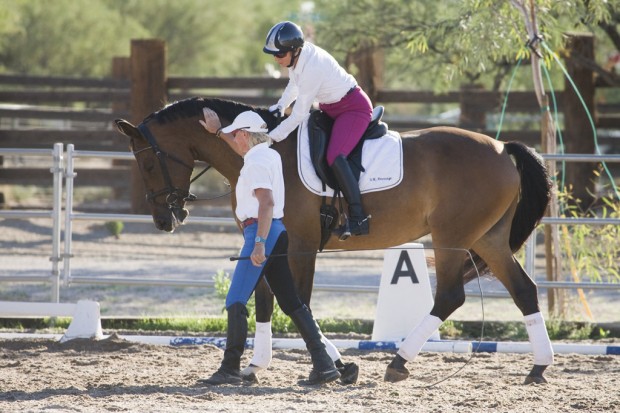 Dressage's disciplines   