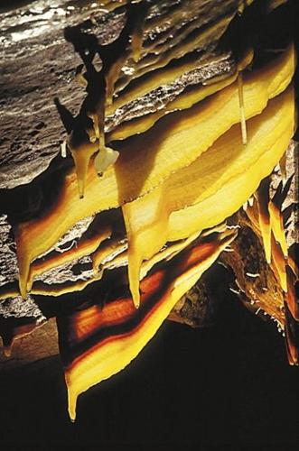 'Kartchner Caverns: How Two Cavers Discovered and Saved One of the Wonders of the Natural World'  