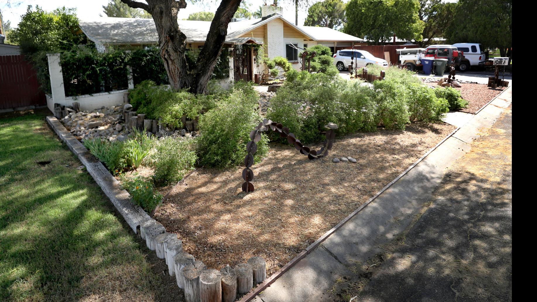 Tim Steller S Opinion In One Tucson Neighborhood Watering Grass
