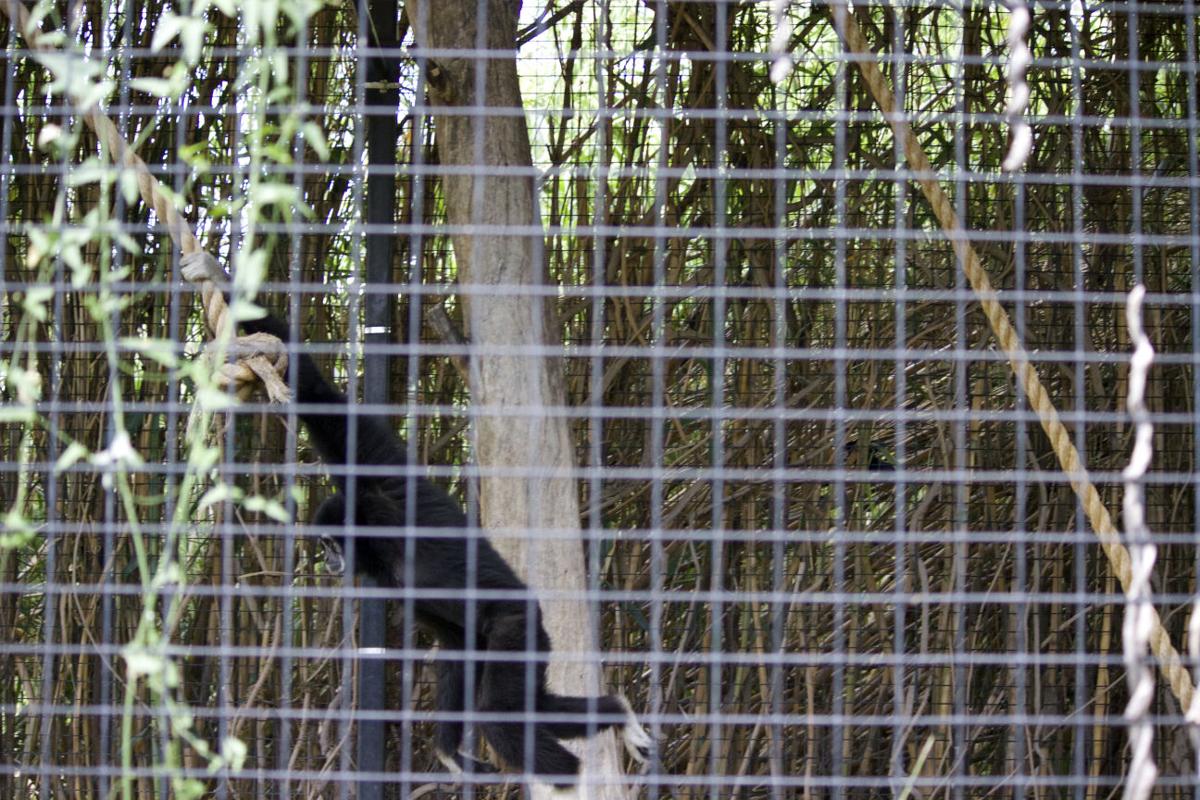 Reid Park Zoo
