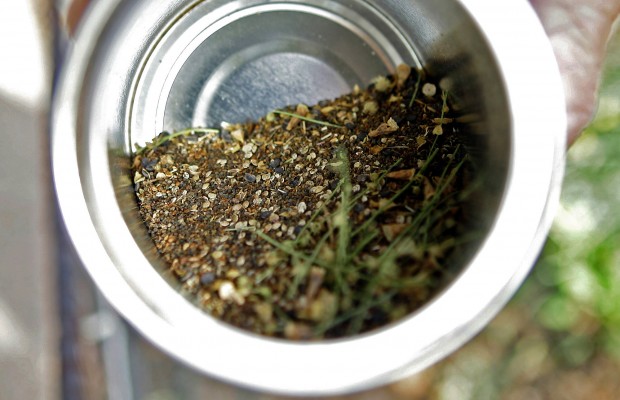 Want spring blooms? Now is time to plant seeds   