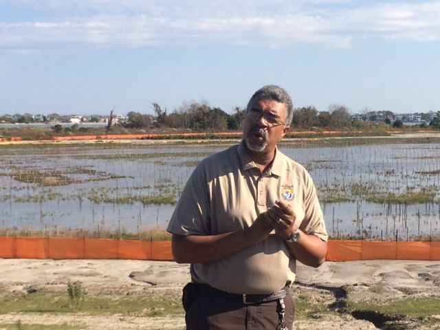 Vinnie Turner of Forsythe National Wildlife Refuge at Cedar Bonnet Island site