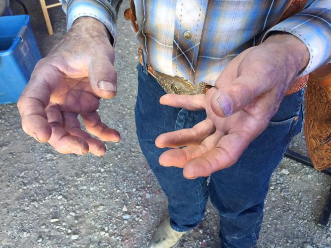 Tucson Rodeo - Jesse W. Smith