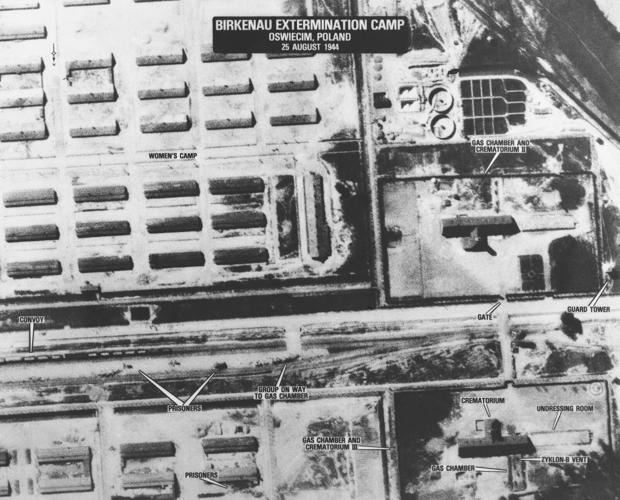 Auschwitz-80th Anniversary