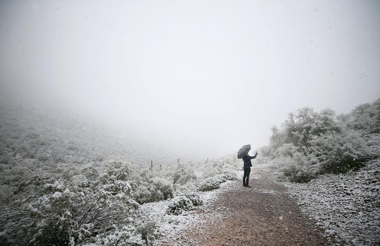 2020 Arizona Press Club Awards: 1st place, pictorial