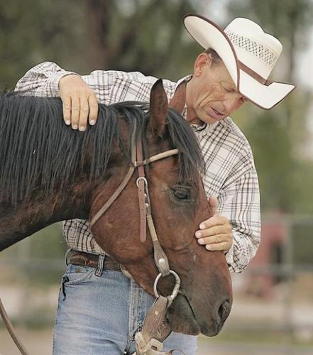 Wild horses can't keep him away (with video)  