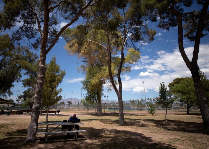 Use parks as overnight homeless camps, Tucson council member suggests