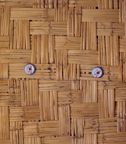 Old Fort Lowell Neighborhood