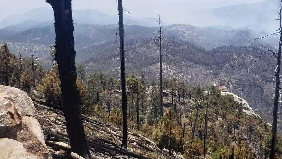 Tucson's Bighorn Fire: No public access to Mount Lemmon, Sabino Canyon ...